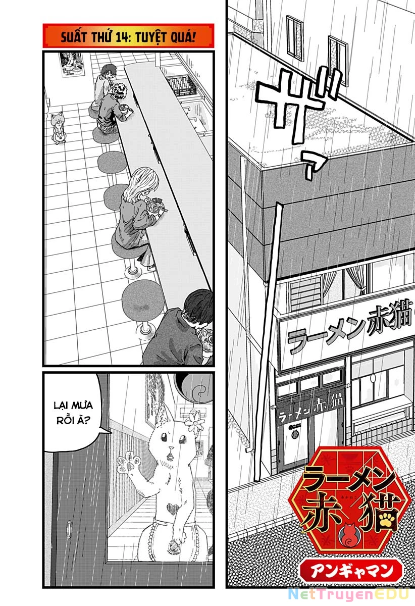 Red Cat Ramen Chapter 14 - 2