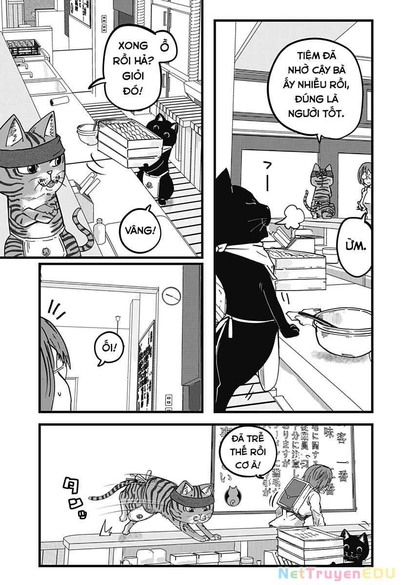 Red Cat Ramen Chapter 17 - 10