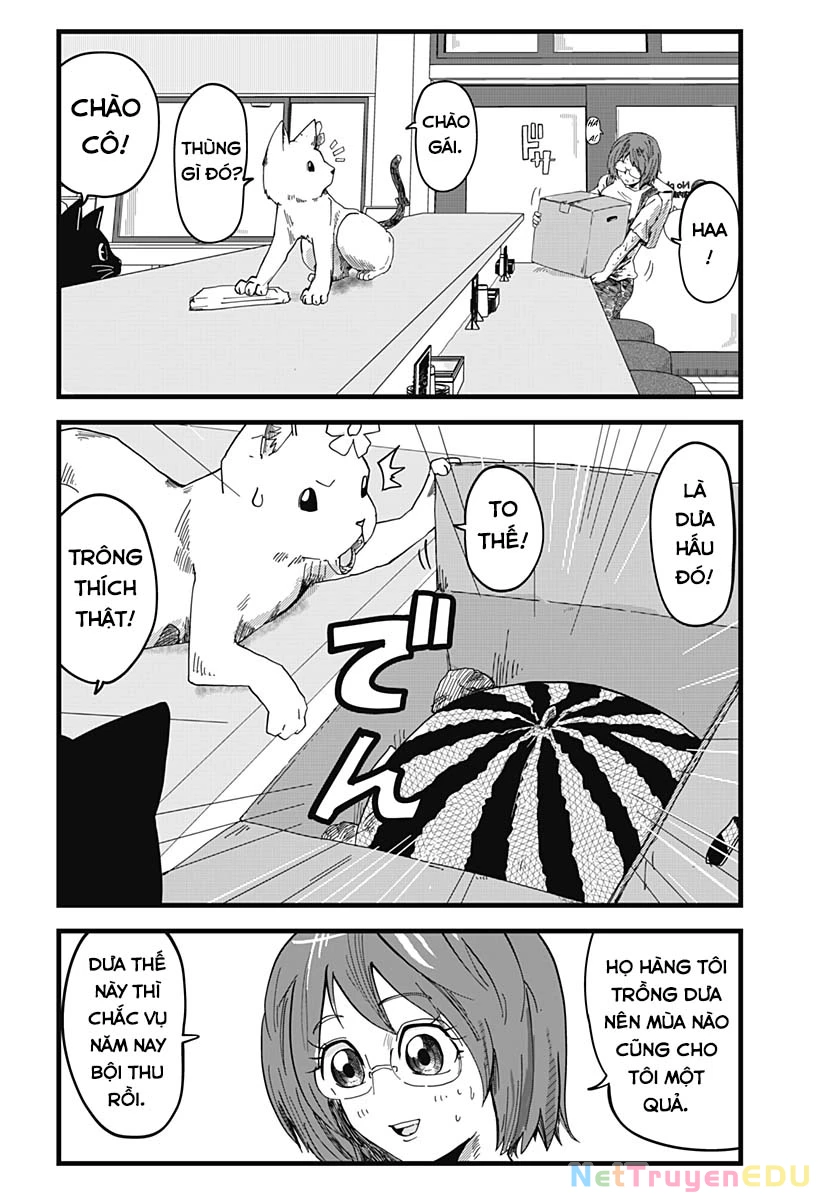 Red Cat Ramen Chapter 19 - 3