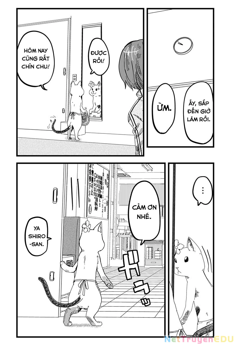 Red Cat Ramen Chapter 19 - 15