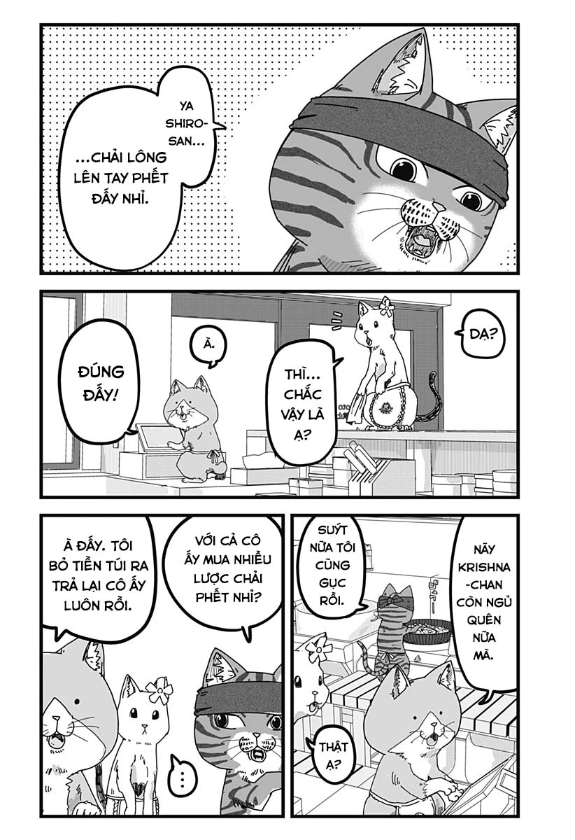 Red Cat Ramen Chapter 22 - 5