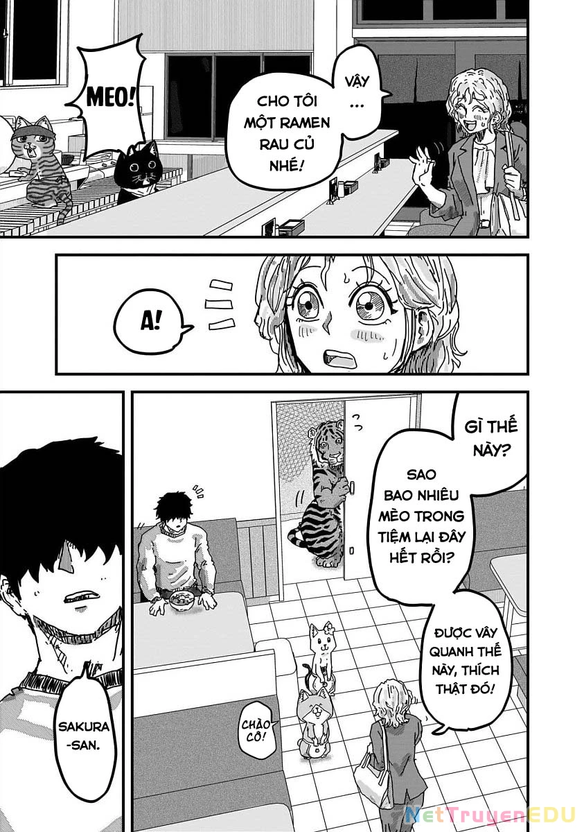 Red Cat Ramen Chapter 33 - 14