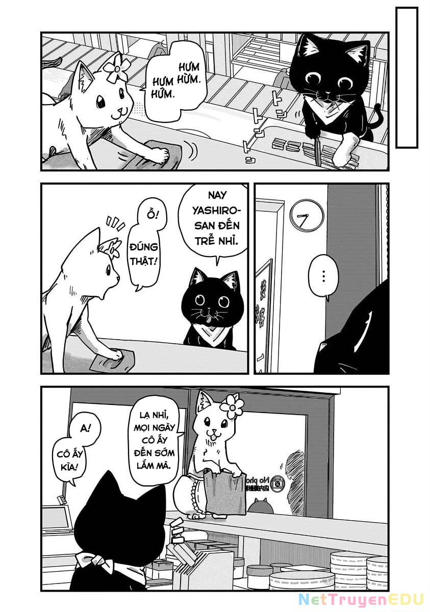 Red Cat Ramen Chapter 35 - 3