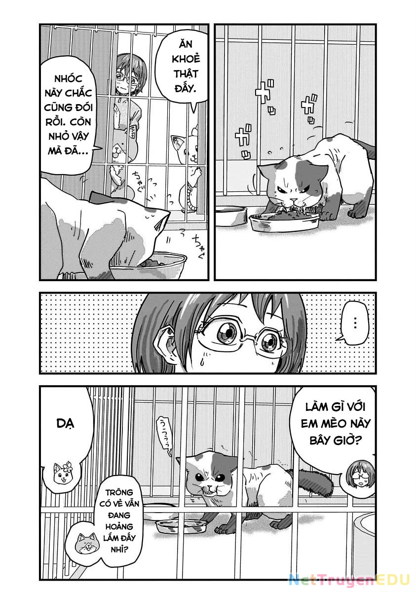 Red Cat Ramen Chapter 35 - 5