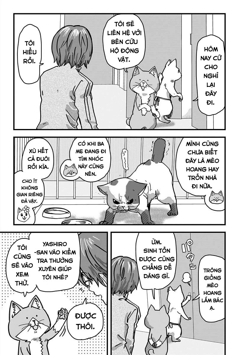 Red Cat Ramen Chapter 35 - 6