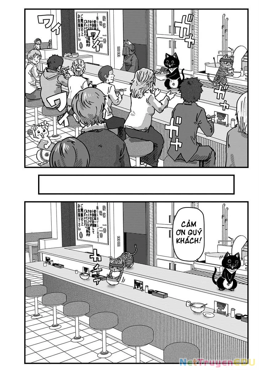 Red Cat Ramen Chapter 35 - 11