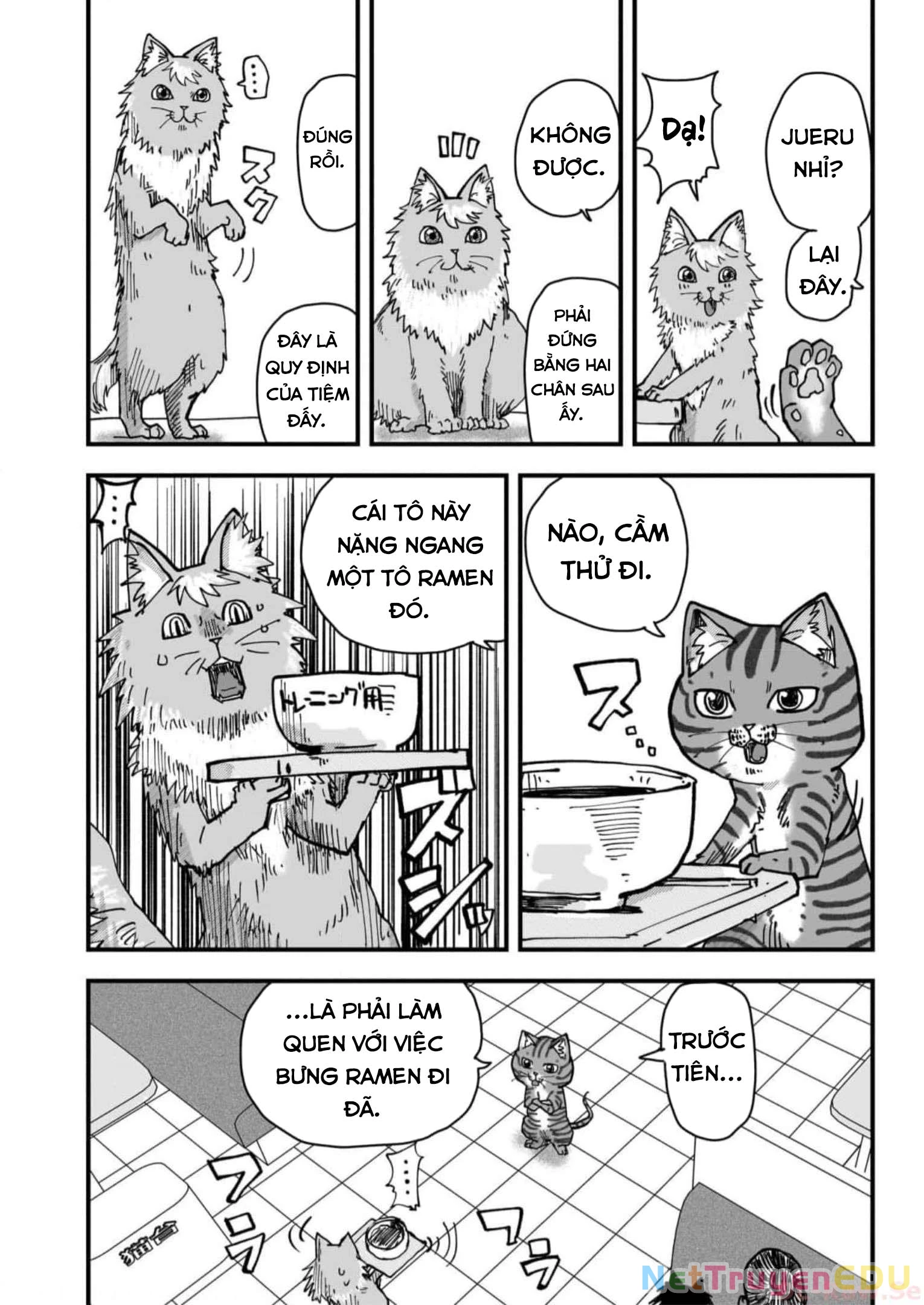 Red Cat Ramen Chapter 41 - 15