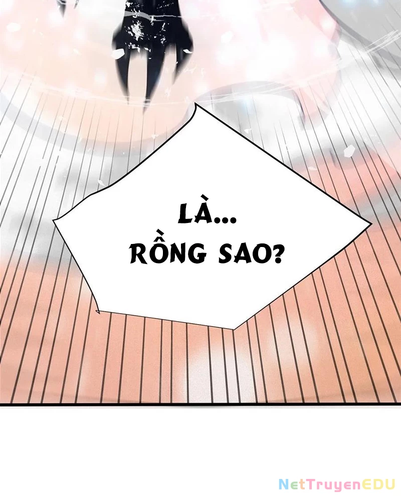 Ác long chuyển sinh: Bắt đầu phục thù từ 5 tuổi Chapter 116 - Trang 2