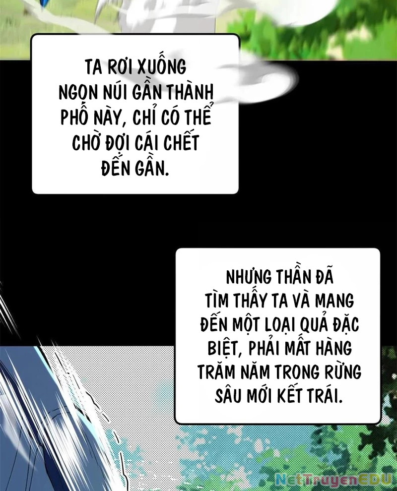 Ác long chuyển sinh: Bắt đầu phục thù từ 5 tuổi Chapter 118 - Trang 2