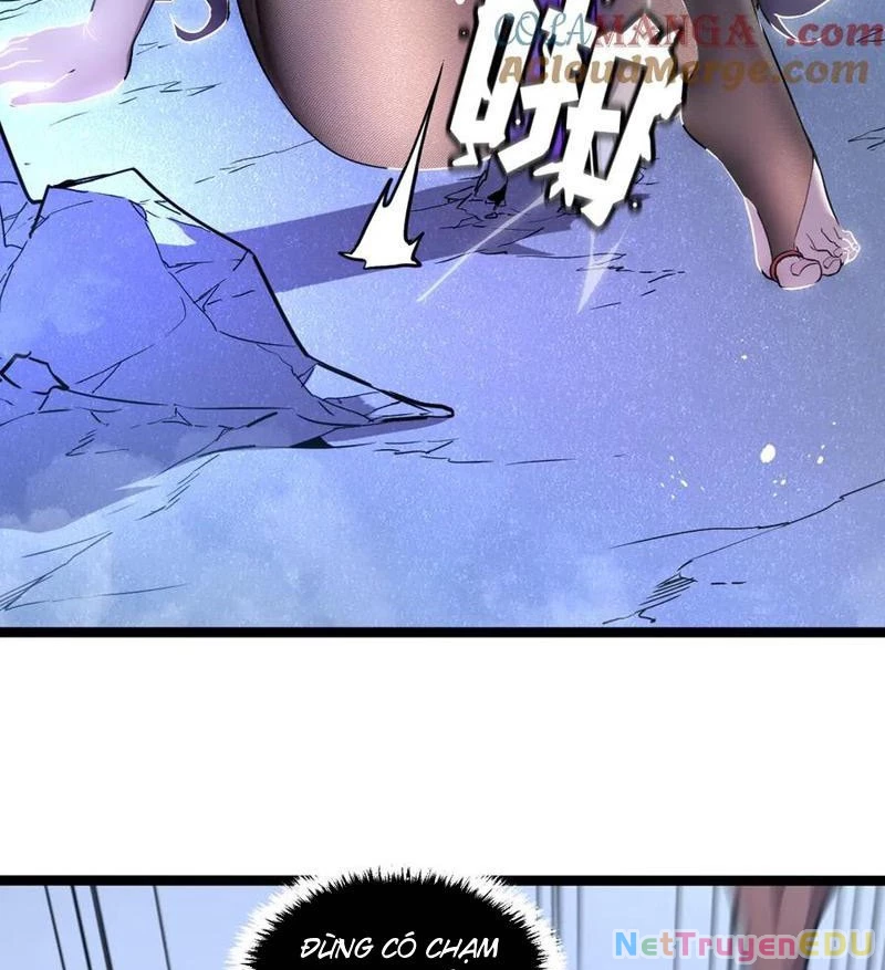Hệ Thống Của Ta Thật Đứng Đắn Chapter 51 - Trang 2