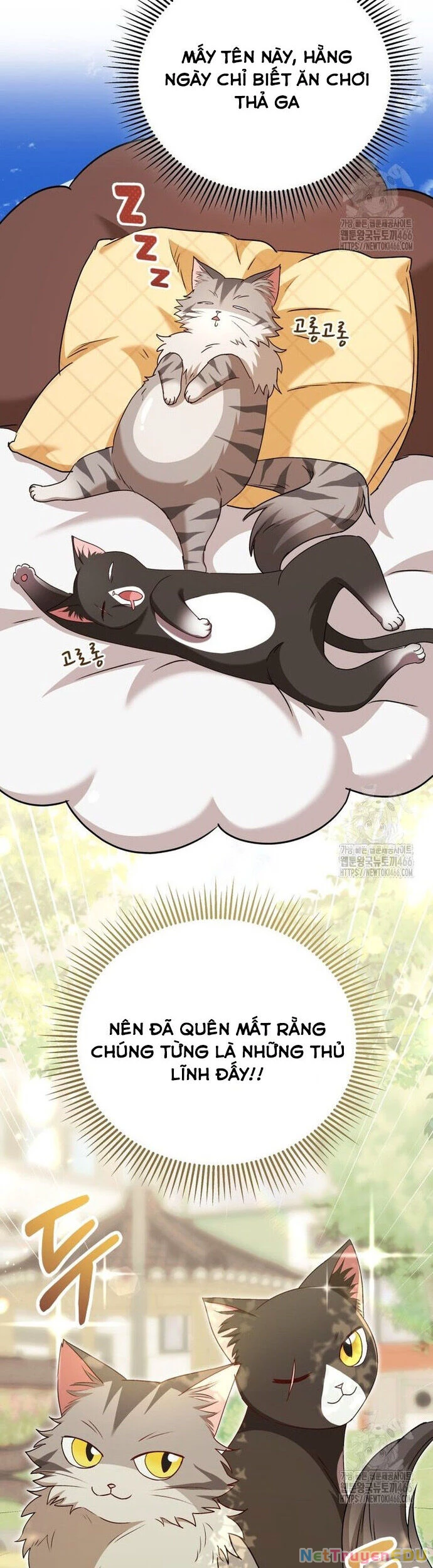 Xin Chào! Bác Sĩ Thú Y Chapter 75 - 25