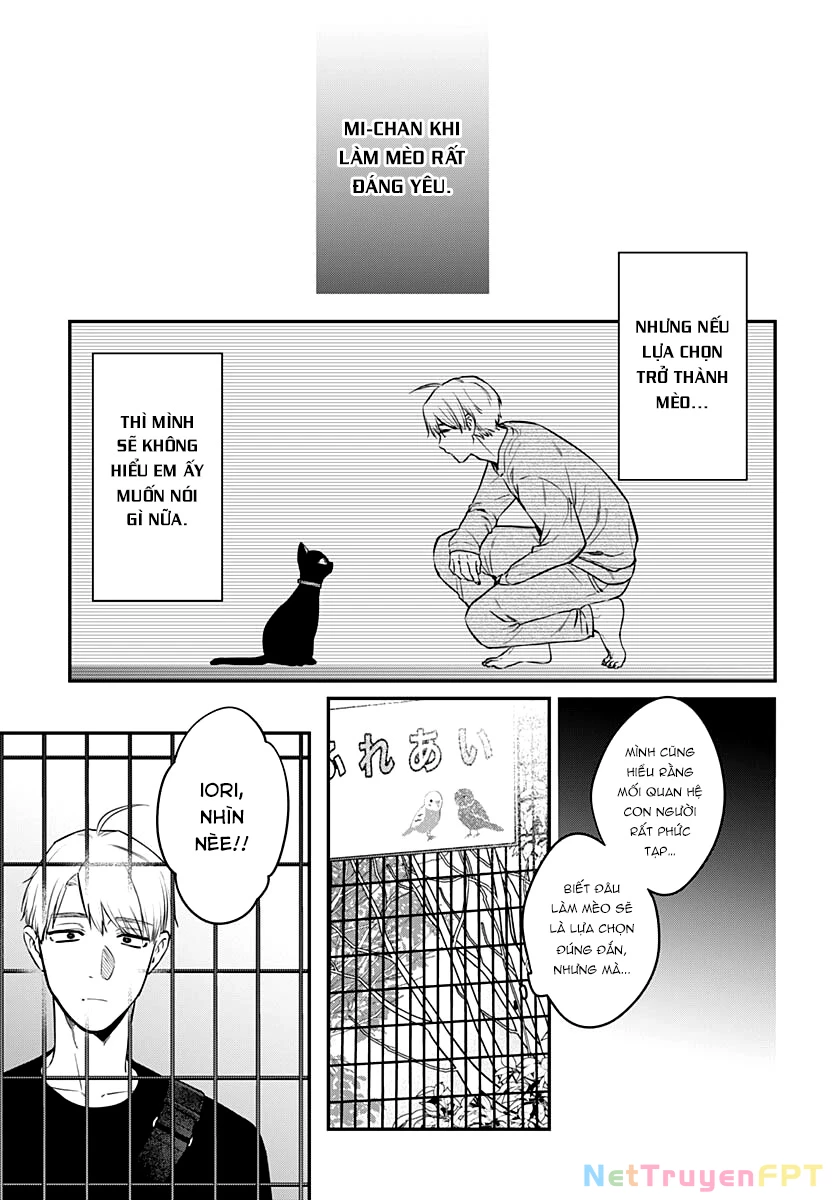 Mi-Chan Wa Kawaretai Chapter 16 - 20