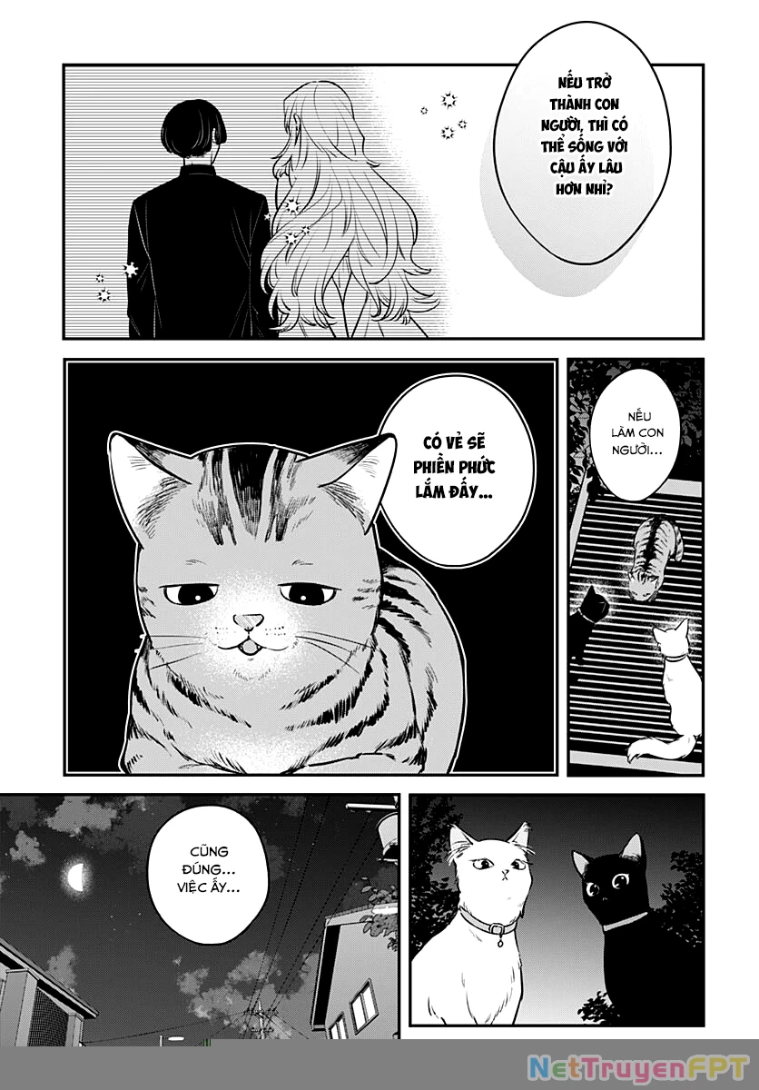 Mi-Chan Wa Kawaretai Chapter 17 - 4