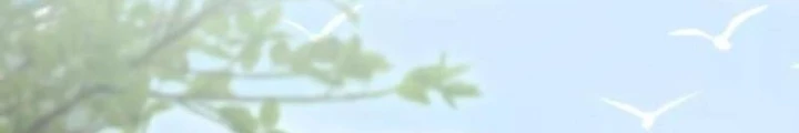 Vật Lý Tu Tiên Hai Vạn Năm Chapter 53 - 180