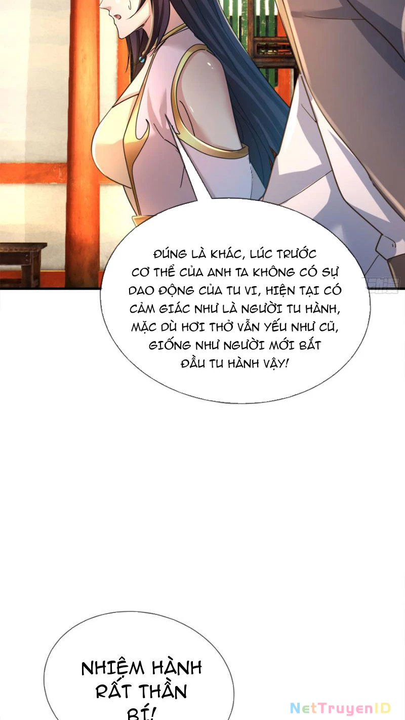 Ngủ Say Vạn Cổ: Xuất Thế Quét Ngang Chư Thiên Chapter 7 - Trang 2