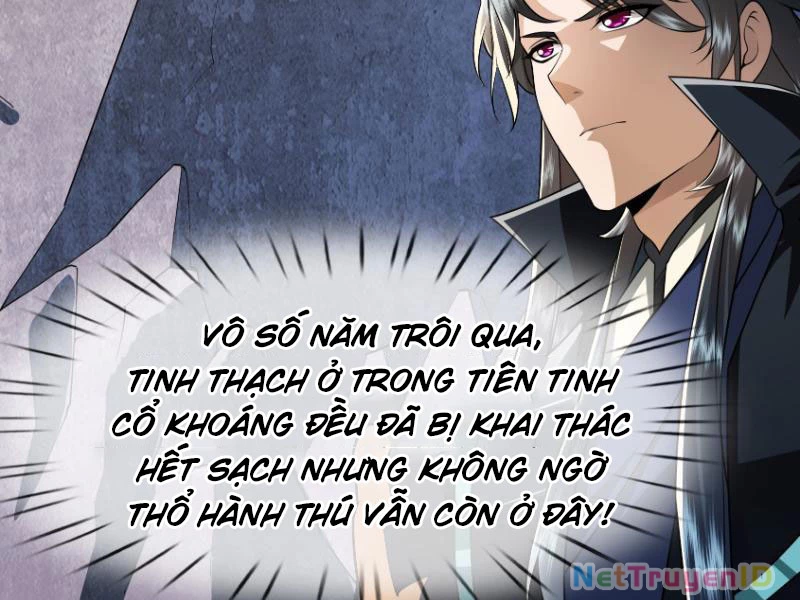 Ngủ Say Vạn Cổ: Xuất Thế Quét Ngang Chư Thiên Chapter 11 - 14