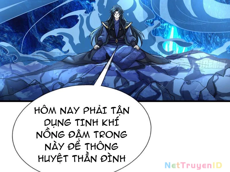 Ngủ Say Vạn Cổ: Xuất Thế Quét Ngang Chư Thiên Chapter 11 - 87