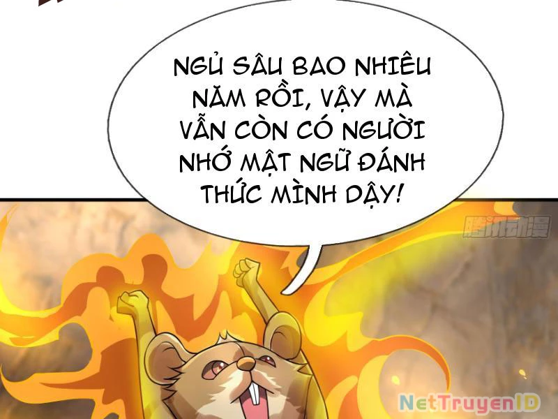 Ngủ Say Vạn Cổ: Xuất Thế Quét Ngang Chư Thiên Chapter 11 - 181