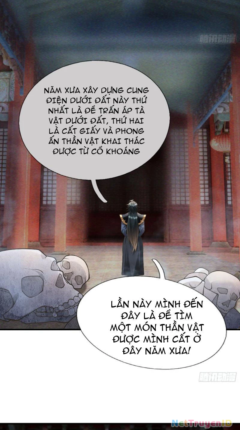 Ngủ Say Vạn Cổ: Xuất Thế Quét Ngang Chư Thiên Chapter 12 - Trang 2