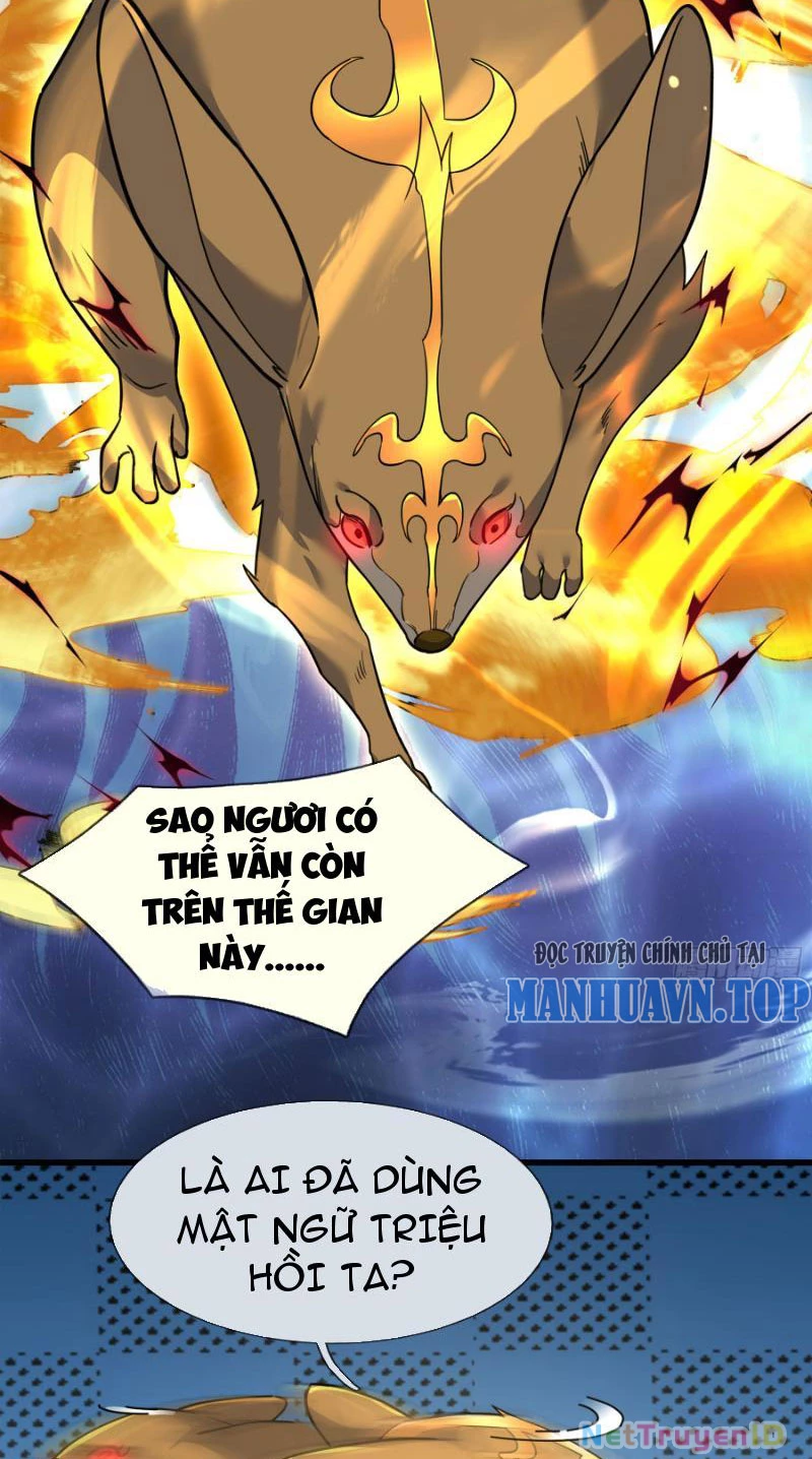 Ngủ Say Vạn Cổ: Xuất Thế Quét Ngang Chư Thiên Chapter 13 - Trang 2