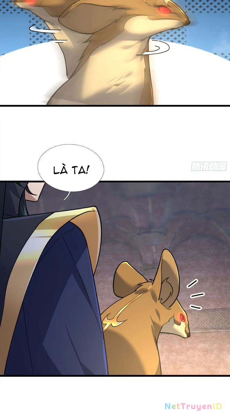 Ngủ Say Vạn Cổ: Xuất Thế Quét Ngang Chư Thiên Chapter 13 - Trang 2