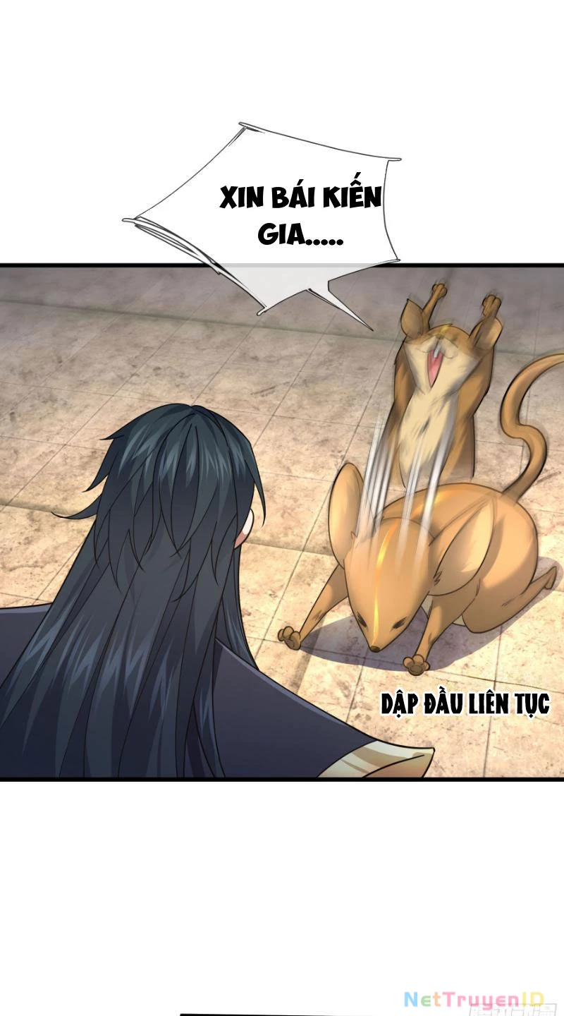 Ngủ Say Vạn Cổ: Xuất Thế Quét Ngang Chư Thiên Chapter 13 - Trang 2