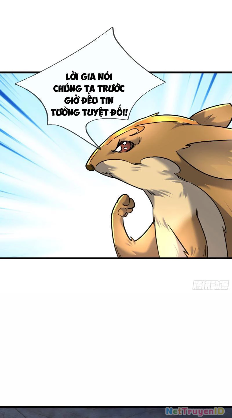 Ngủ Say Vạn Cổ: Xuất Thế Quét Ngang Chư Thiên Chapter 13 - Trang 2