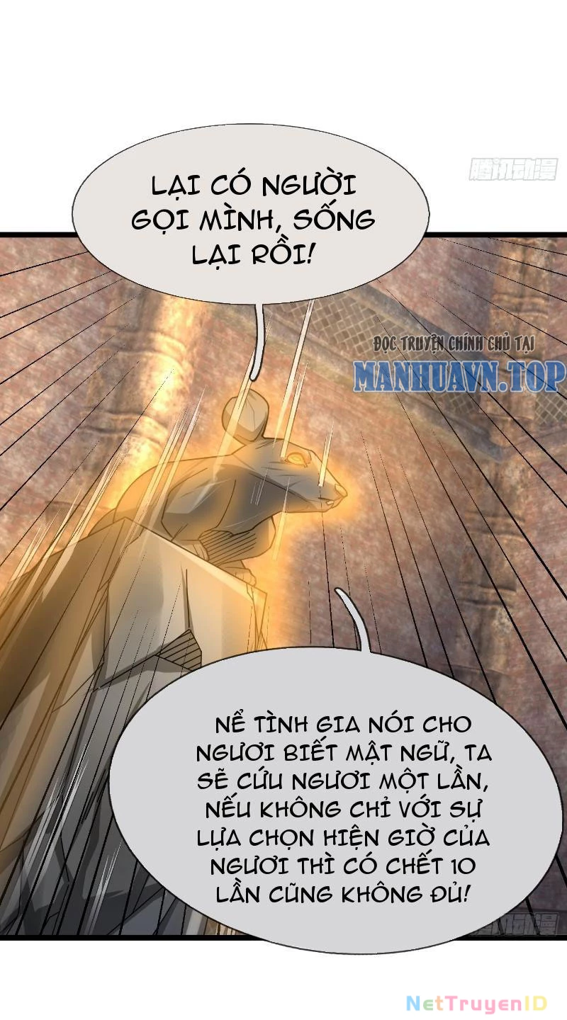 Ngủ Say Vạn Cổ: Xuất Thế Quét Ngang Chư Thiên Chapter 13 - Trang 2