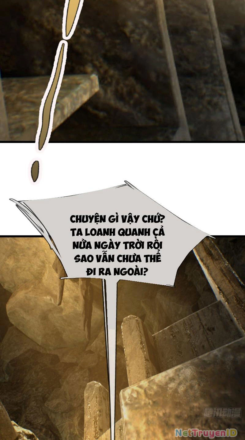 Ngủ Say Vạn Cổ: Xuất Thế Quét Ngang Chư Thiên Chapter 16 - Trang 2