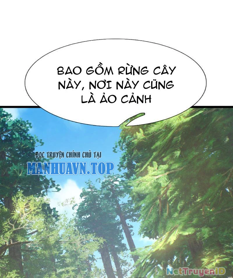 Ngủ Say Vạn Cổ: Xuất Thế Quét Ngang Chư Thiên Chapter 29 - 20