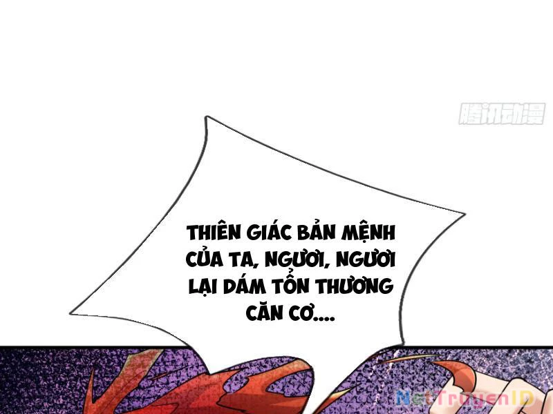 Ngủ Say Vạn Cổ: Xuất Thế Quét Ngang Chư Thiên Chapter 39 - 93