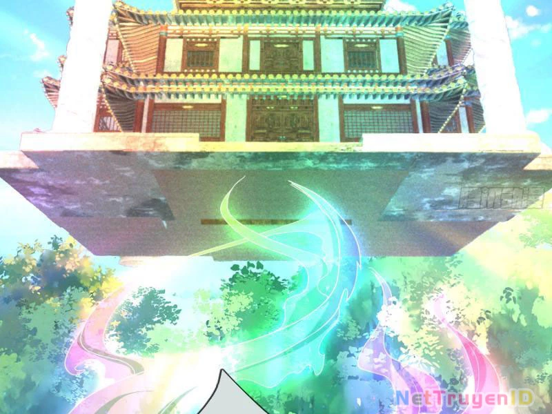 Ngủ Say Vạn Cổ: Xuất Thế Quét Ngang Chư Thiên Chapter 42 - 5