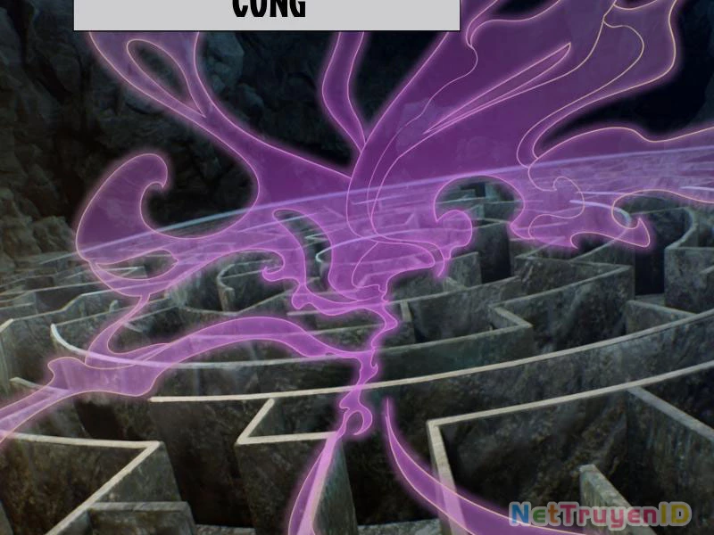 Ngủ Say Vạn Cổ: Xuất Thế Quét Ngang Chư Thiên Chapter 43 - 107
