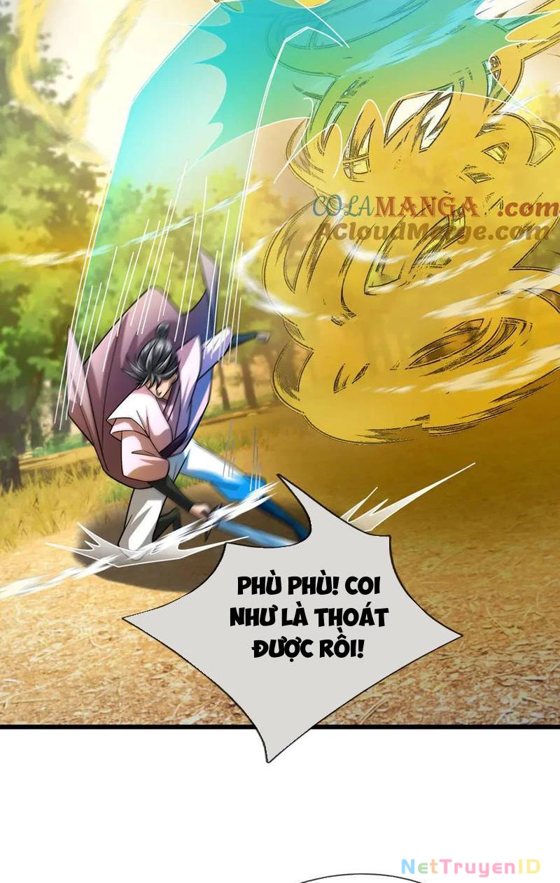 Ngủ Say Vạn Cổ: Xuất Thế Quét Ngang Chư Thiên Chapter 58 - 11