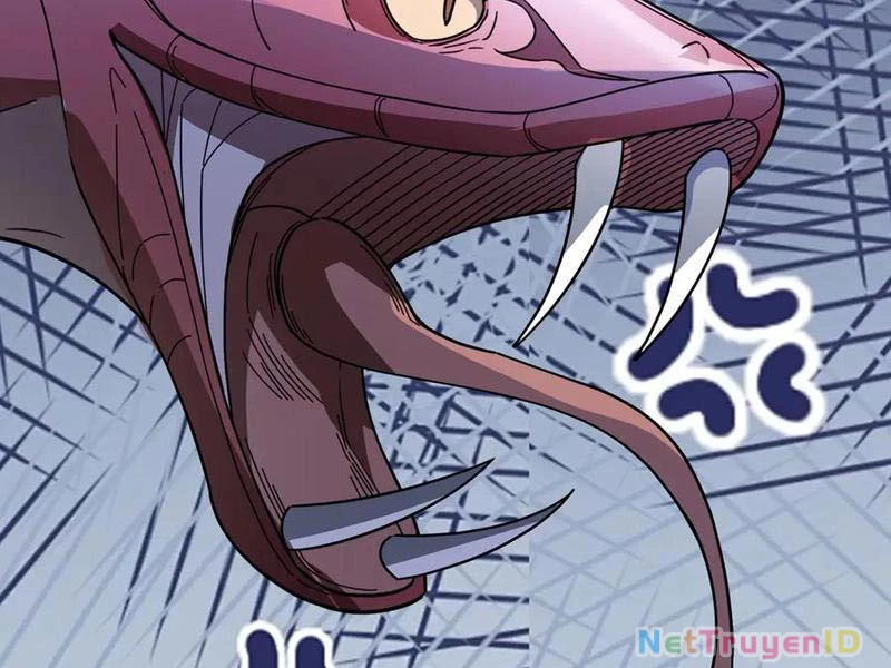 Ngủ Say Vạn Cổ: Xuất Thế Quét Ngang Chư Thiên Chapter 61 - 156