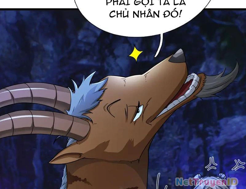 Ngủ Say Vạn Cổ: Xuất Thế Quét Ngang Chư Thiên Chapter 67 - 77