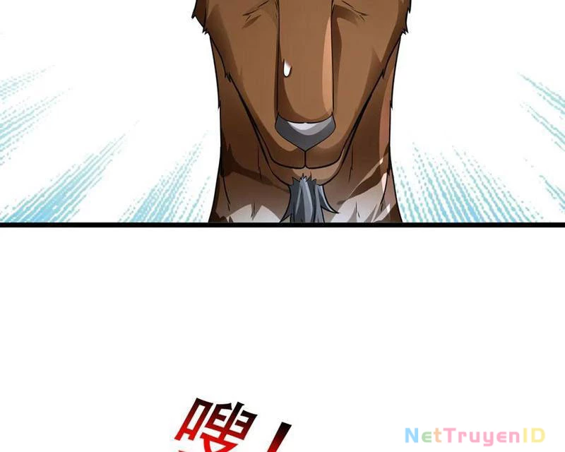 Ngủ Say Vạn Cổ: Xuất Thế Quét Ngang Chư Thiên Chapter 67 - 93