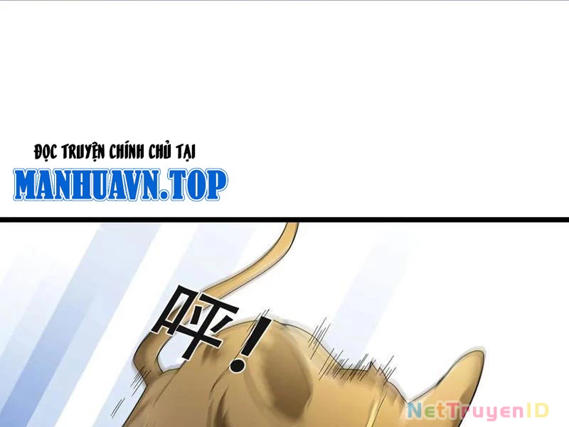 Ngủ Say Vạn Cổ: Xuất Thế Quét Ngang Chư Thiên Chapter 80 - Trang 2