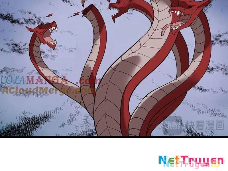 Ngủ Say Vạn Cổ: Xuất Thế Quét Ngang Chư Thiên Chapter 81 - Trang 2
