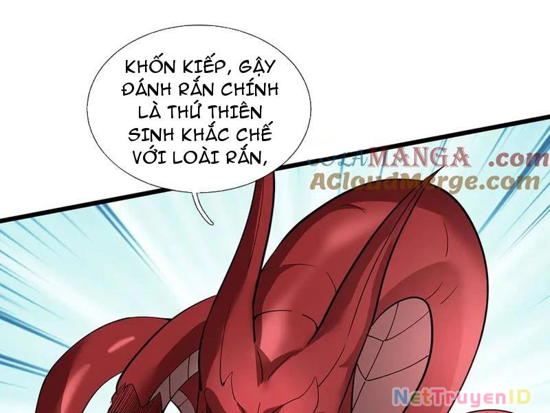 Ngủ Say Vạn Cổ: Xuất Thế Quét Ngang Chư Thiên Chapter 81 - Trang 2