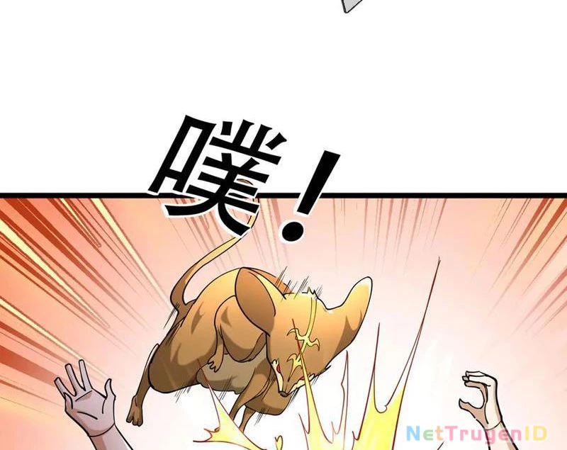 Ngủ Say Vạn Cổ: Xuất Thế Quét Ngang Chư Thiên Chapter 82 - Trang 2
