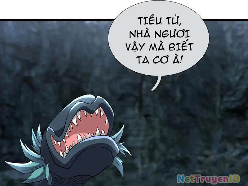 Ngủ Say Vạn Cổ: Xuất Thế Quét Ngang Chư Thiên Chapter 89 - Trang 2