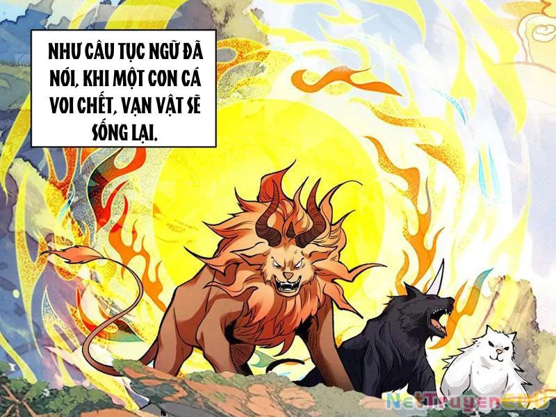 Gặp Mạnh Thì Mạnh, Ta Tu Vi Vô Thượng Hạn Chapter 20 - 121