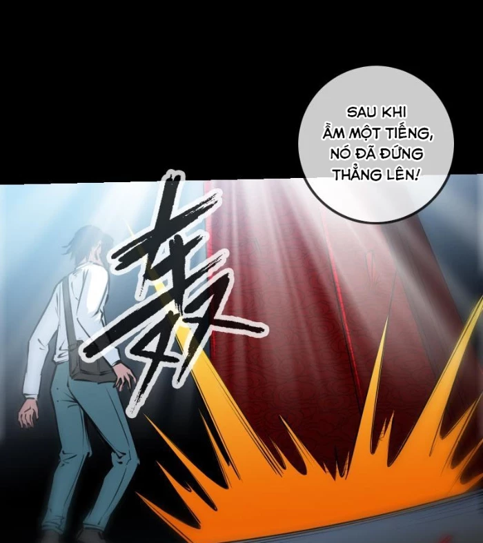 Kiếp Thiên Vận Chapter 223 - 19