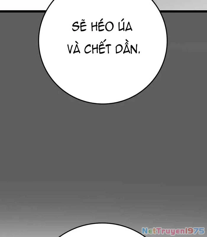 Phòng Gym Hanlim Chapter 217 - 82