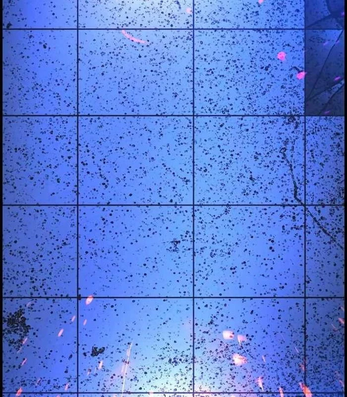 Phòng Gym Hanlim Chapter 217 - 300