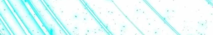 Kiếm Tiền Bằng Kỹ Năng Sao Chép Chapter 16 - 12