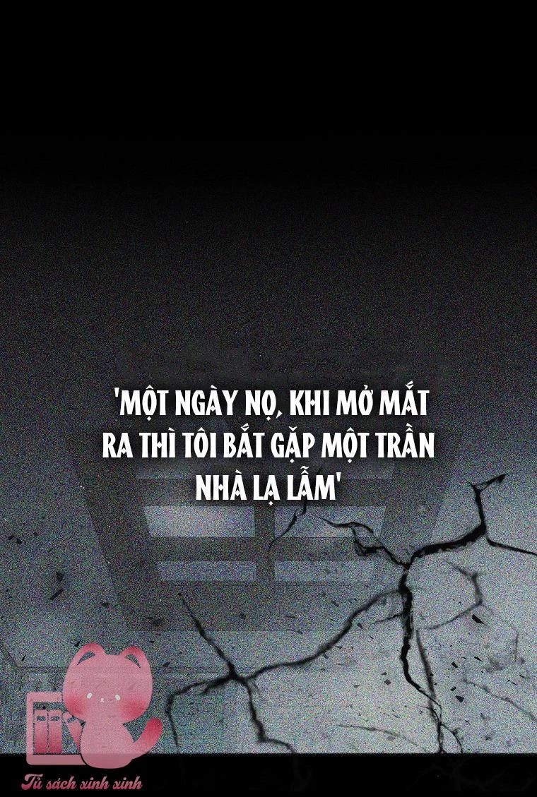 Debut Or Die Chapter  1 - 9