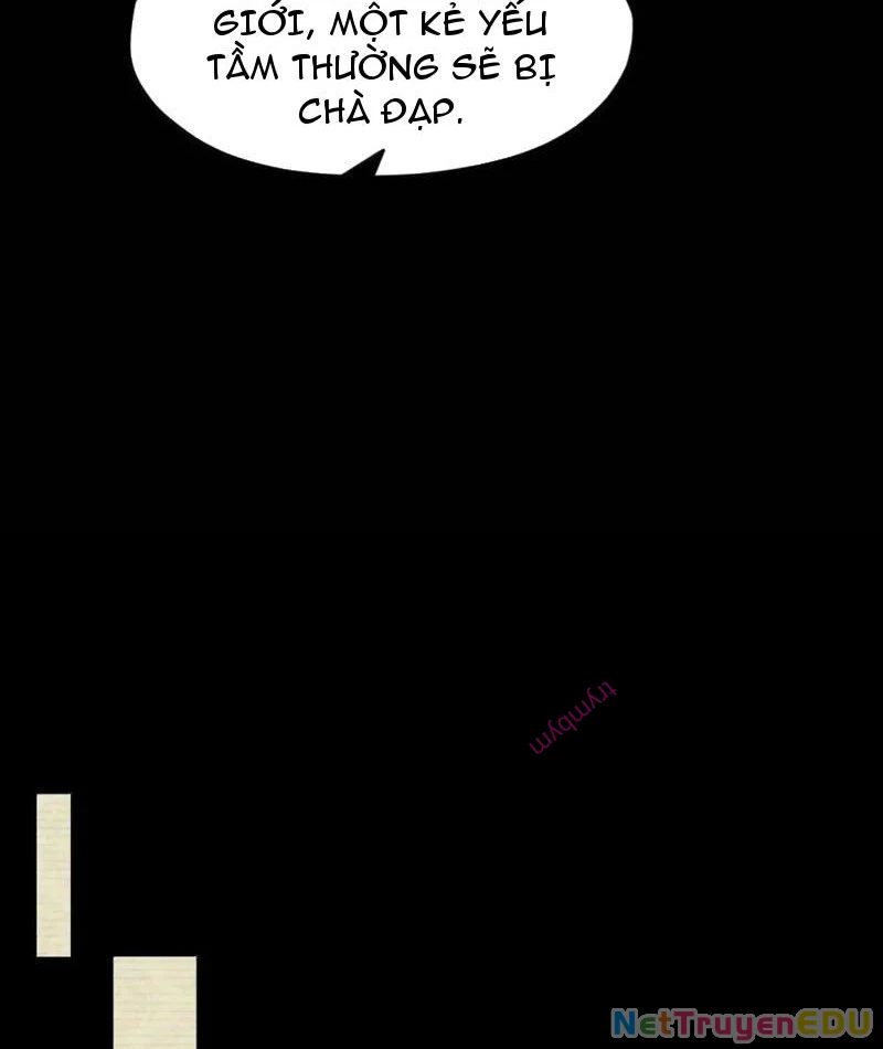 Từ đáy xã hội quật khởi Chapter 50 - 10