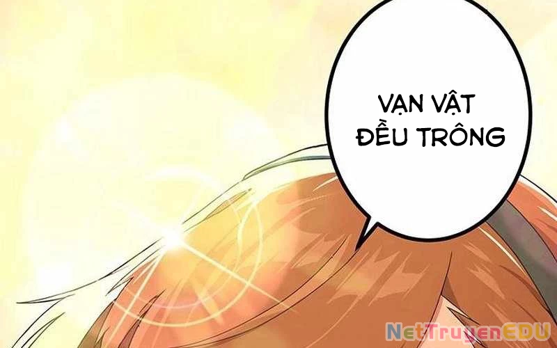 Vượt Cấp Với Kỹ Năng Thần Thánh Chapter 1 - 264